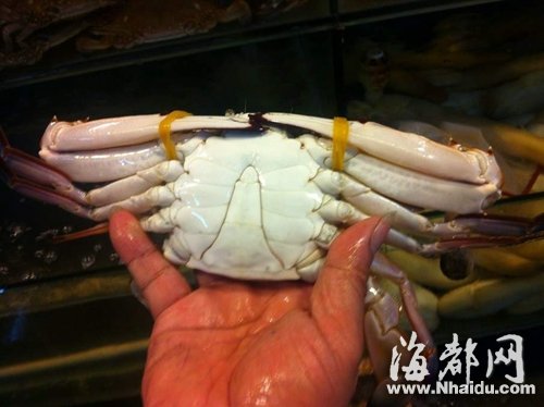 螃蟹针眼真相揭秘，成长之路与自信成就，辟谣鼓舞前行之路