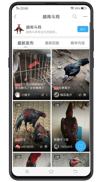 花开无言 第67页