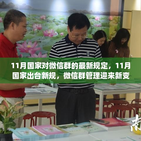 成功案例 第490页