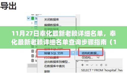 奉化最新老赖名单及查询步骤指南（11月27日更新）