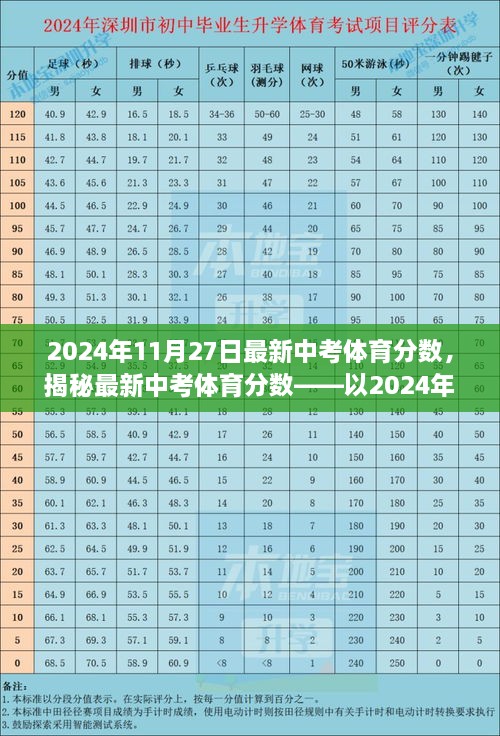 borandanu 第9页
