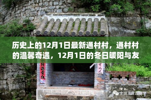 niaoyunzhizhen 第10页