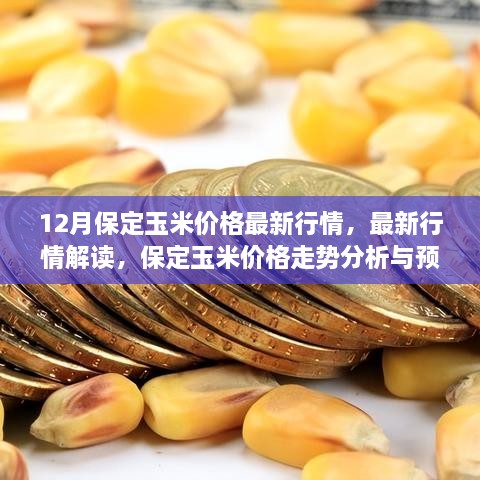 保定玉米市场最新行情解读与走势预测，初学者指南