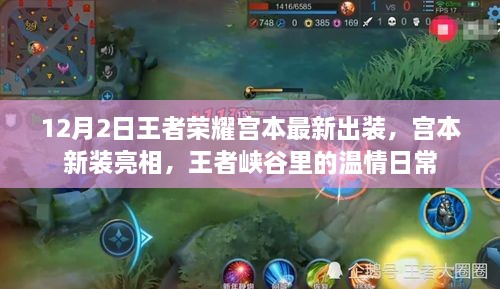 guizhangguizhi 第7页