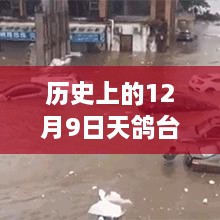 gangqiemuzhang 第6页