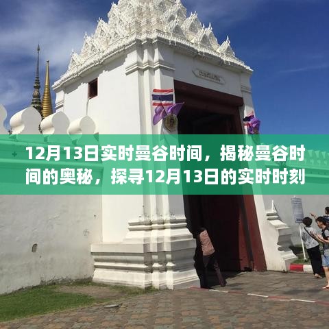 成功案例 第309页