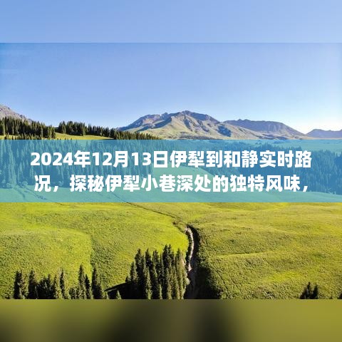 探秘伊犁小巷风味与路况秘境，伊犁至和静美食与路况深度体验之旅