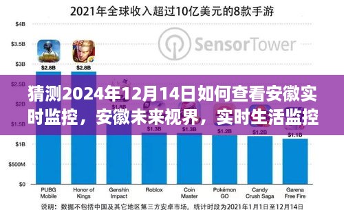 borandanu 第5页
