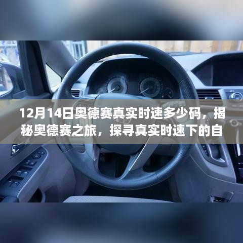 guizhangguizhi 第5页
