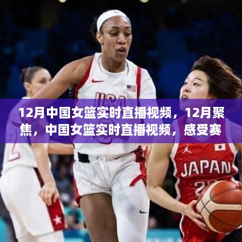 新闻动态 第282页