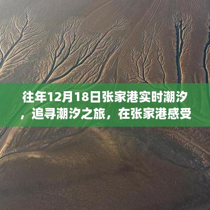 初告白 第5页