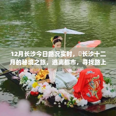 新闻动态 第251页