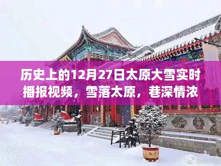 成功案例 第241页