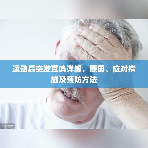 成功案例 第226页