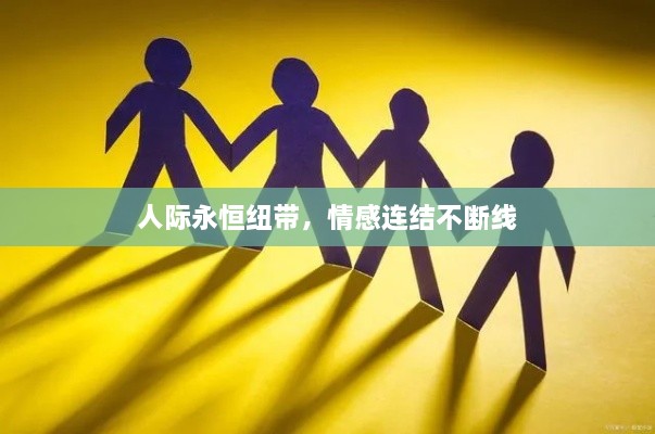 成功案例 第221页