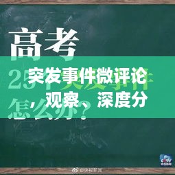 突发事件微评论，观察、深度分析与灵活应对策略