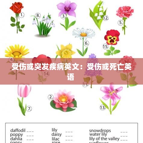guizhangguizhi 第3页