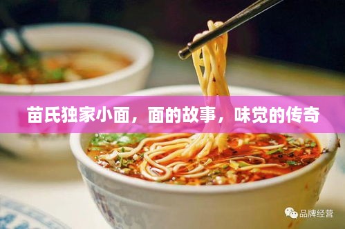 成功案例 第216页