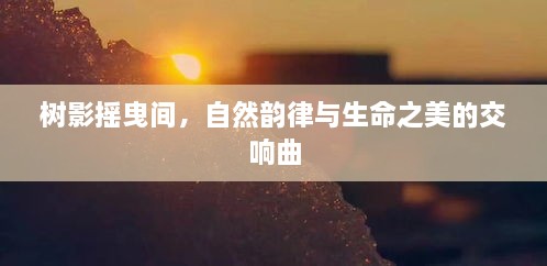 成功案例 第212页