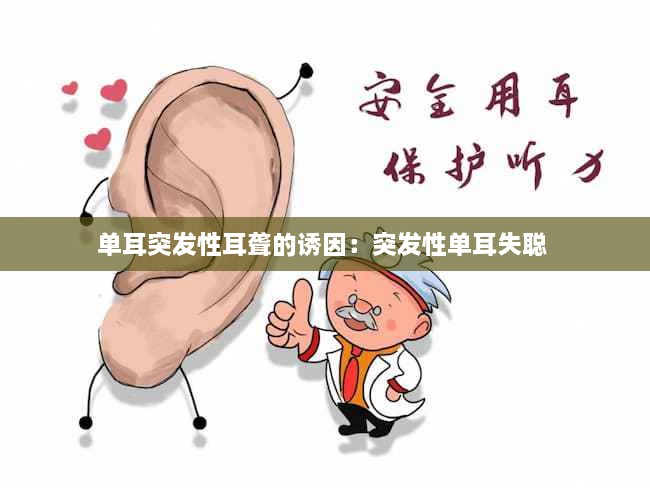 夸夸其谈 第3页