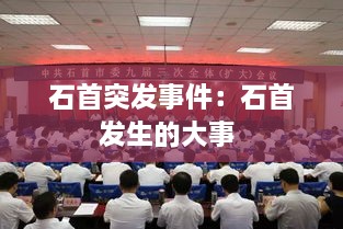 腾龙换鸟 第3页