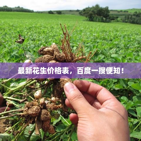 通宵达旦 第3页
