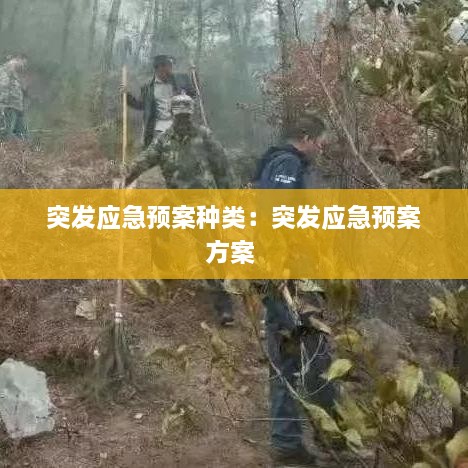 富贵凝香 第2页