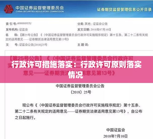 行政许可措施落实：行政许可原则落实情况 