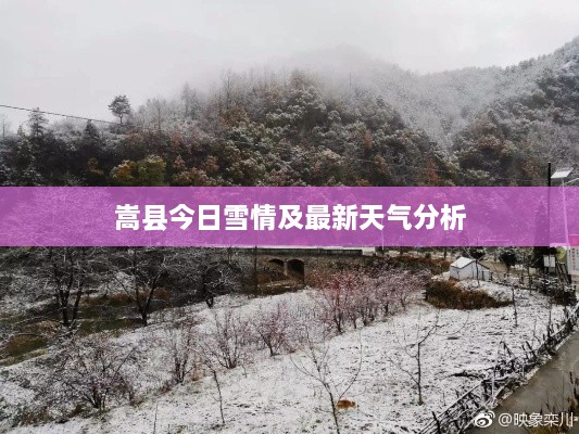 guizhangguizhi 第2页