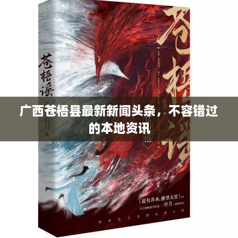 成功案例 第160页