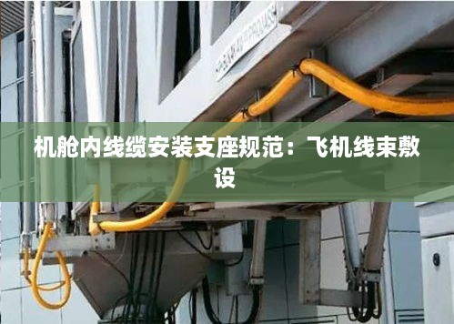 驾轻就熟 第2页