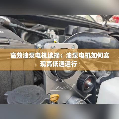 成功案例 第148页