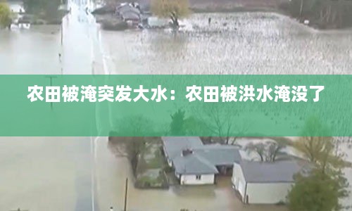 gangqiemuzhang 第2页