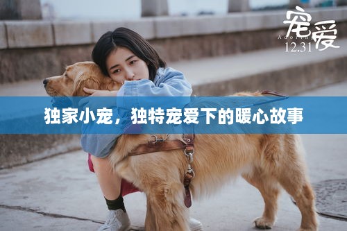 buyishuyi 第2页