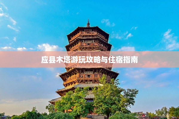 林下风气 第2页