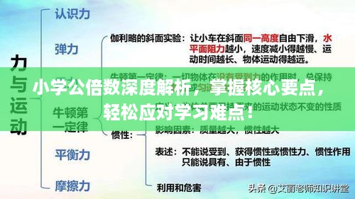 空谷幽兰 第2页