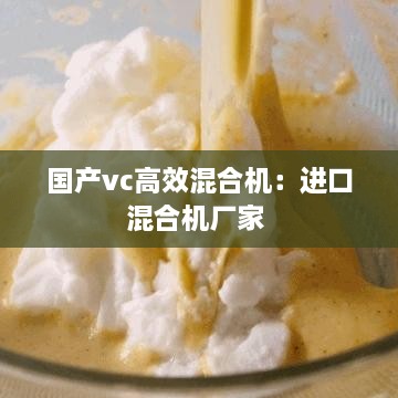 国产vc高效混合机：进口混合机厂家 