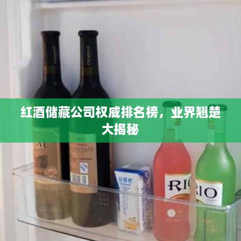 新闻动态 第100页