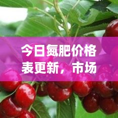 束装就道 第2页