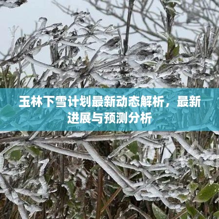 贵冠履轻头足 第2页