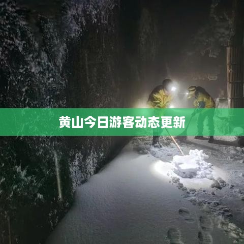 成功案例 第104页