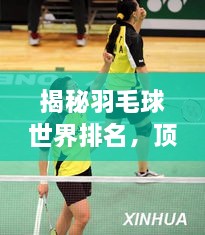 成功案例 第100页