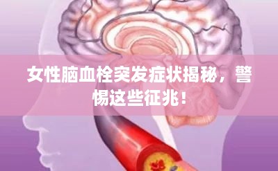 产品中心 第80页