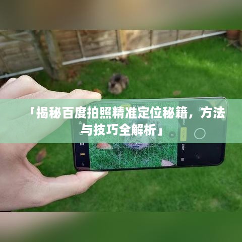 新闻动态 第78页