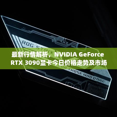 张灯挂彩 第2页
