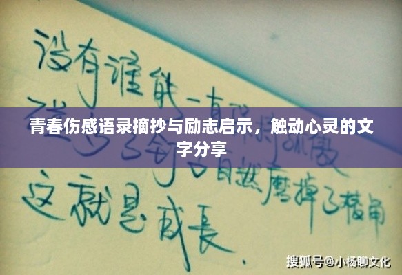 产品中心 第53页