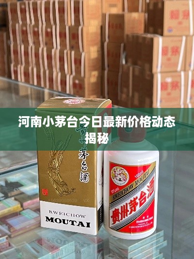成功案例 第61页