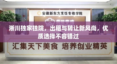 新闻动态 第30页