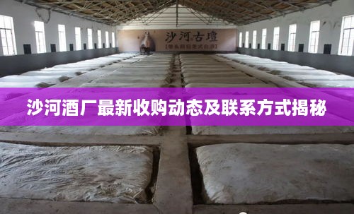 2025年4月 第43页