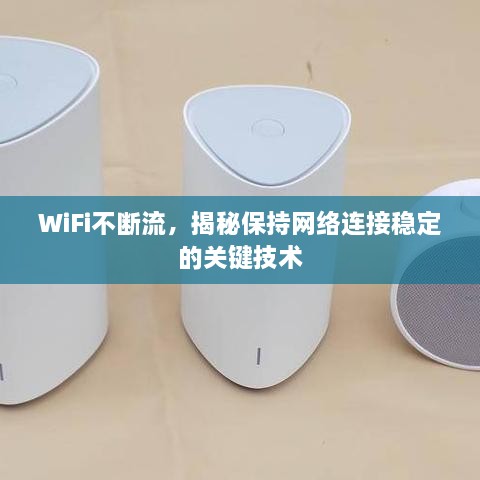 关于我们 第13页